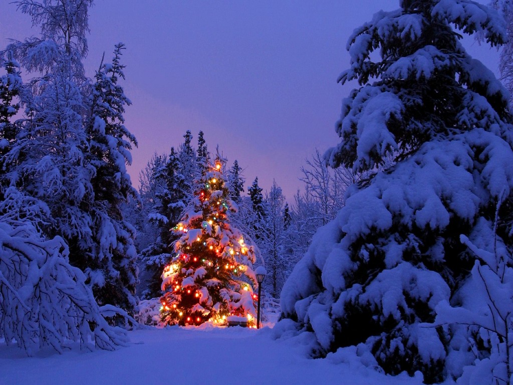 weihnachtliche bilder Bilder 2016
